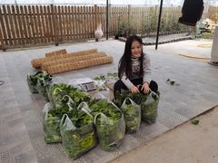 -美家乐农庄·露营·团建(大治路店)