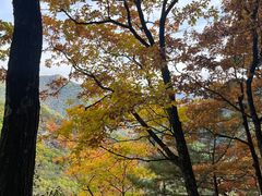 -五女峰国家森林公园