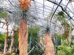 -北京植物园-展览温室