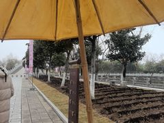 -横店圆明新园