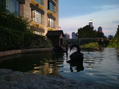 -行者书屋大堂吧 ·下午茶(南京圣和府邸酒店)