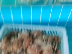 -锅老头铁锅炖•大锅蒸汽海鲜(韩乐坊店)
