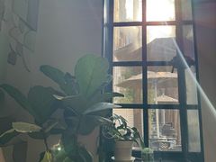 -一尺花园(安和花园店)