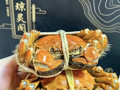 -阳澄湖大闸蟹·琼灵阁牌品牌连锁(吴中总店)