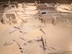 -洛阳周王城天子驾六博物馆