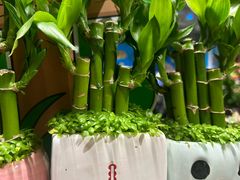 -大润发(花都店)