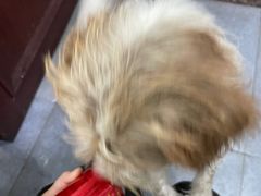 -粤华烧腊(胥口店)