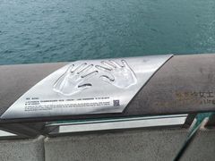 -星光大道