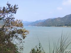 -羚羊峡古栈道森林公园