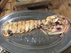 濑尿虾-蚝专家(北滘店)
