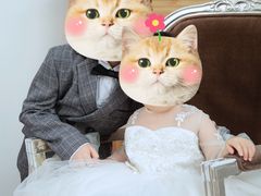 -正午照相馆·全家福·证件照·轻写真