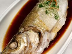 -元唐家宴•经典东北菜(梅市口路店)