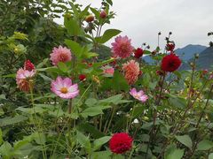 -金堂县云顶石城风景区