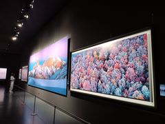 -罗红摄影艺术馆