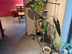 -Punchline Coffee&Roaster(同济大学店)