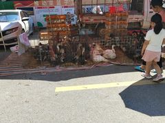 -永汉农贸综合市场