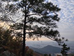 -惠山国家森林公园