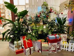 -二酉书店TOYOU BOOKS