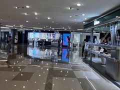 -港汇恒隆广场