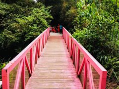 -武夷山风景名胜区-玉女峰