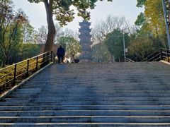 -上海佘山国家森林公园西佘山园