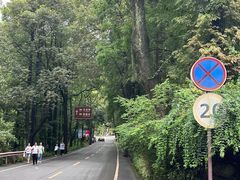 -峨眉山报国寺