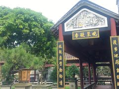 -碧江金楼