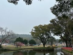 -无锡梅园公园