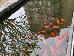 -南宁荔园维景国际酒店·荔园中餐厅