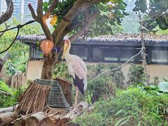 -熊猫自助餐厅.萌趣城堡(长隆熊猫酒店)