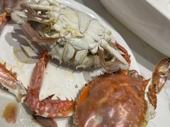 -半岛听涛蒸汽海鲜自助(K11店)