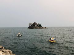 -小普陀