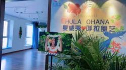 -呼拉汇舞蹈生活馆 Hawaii Hula&Tahiti Dance Studio