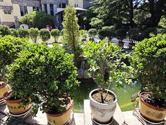 -青岛德国总督楼旧址博物馆