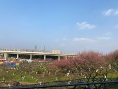 -秀丽东方