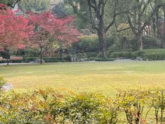 -申粤轩酒楼·三十年粤菜经典(丁香花园店)