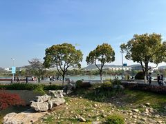 -羊山湖公园