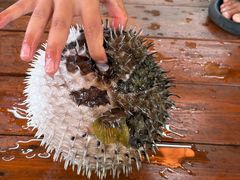 -蓝湾碧波·老字号·疍家非遗海上餐厅