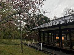 -醍醐寺