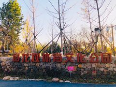 -回龙观体育文化公园