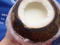 -志龙皇冠吃货椰子铺