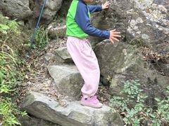 -阳台山自然风景区