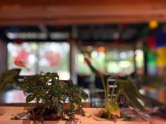 -望京一号·重庆江湖菜(工体店)