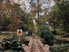 -上海共青森林公园