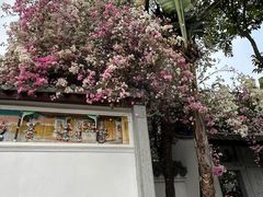 -深圳国际园林花卉博览园