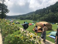 -武陵山森林公园