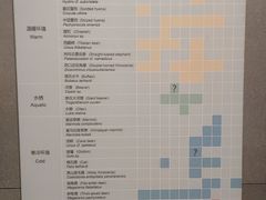 -北京周口店北京人遗址博物馆