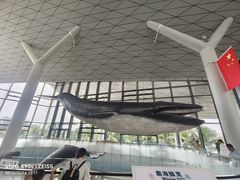 -中国（海南）南海博物馆