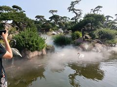 -罗红摄影艺术馆