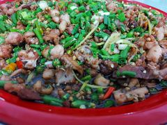 -东吴霸王兔(松青路店)